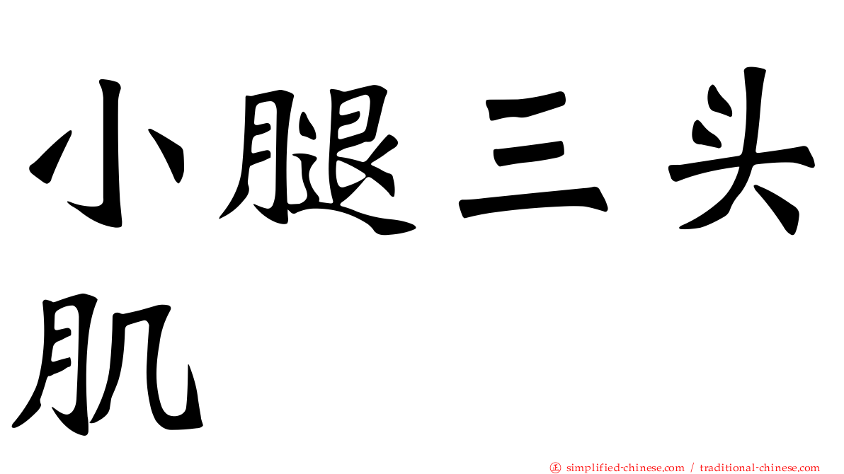 小腿三头肌