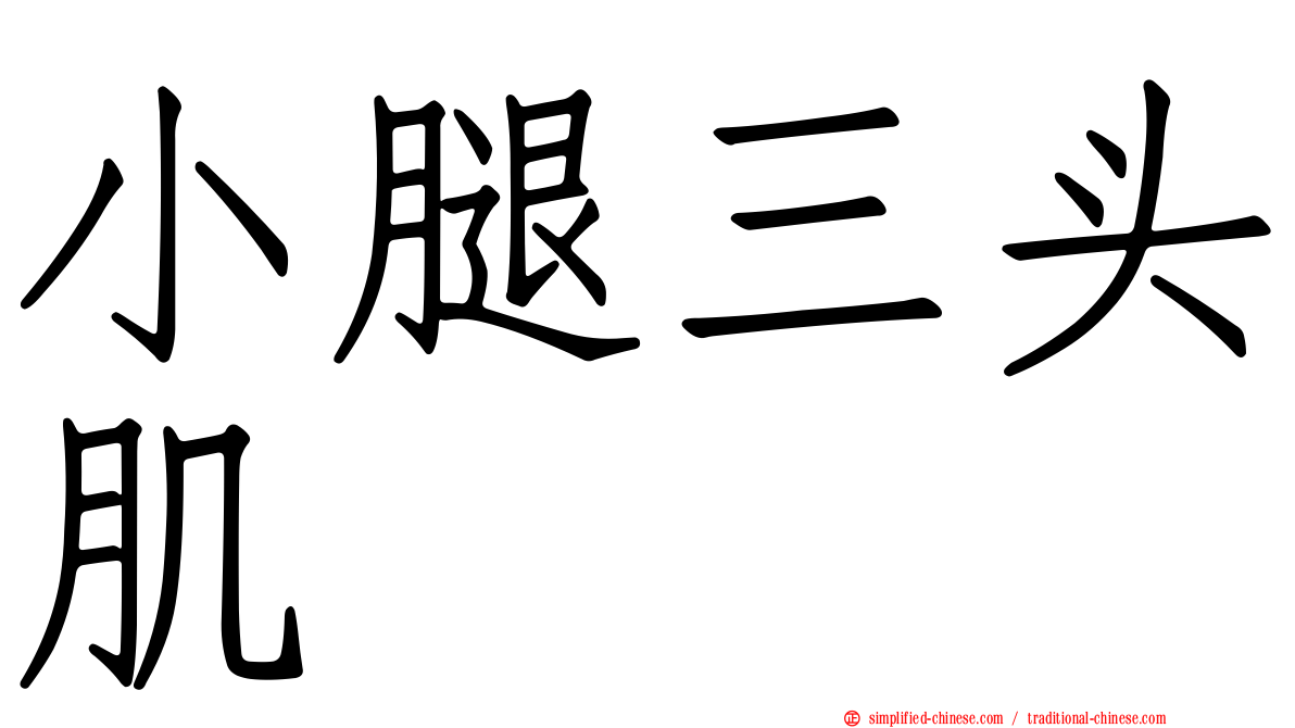 小腿三头肌