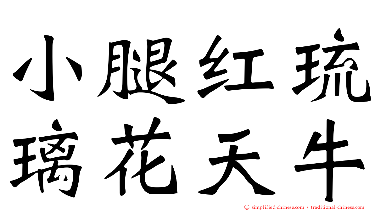 小腿红琉璃花天牛
