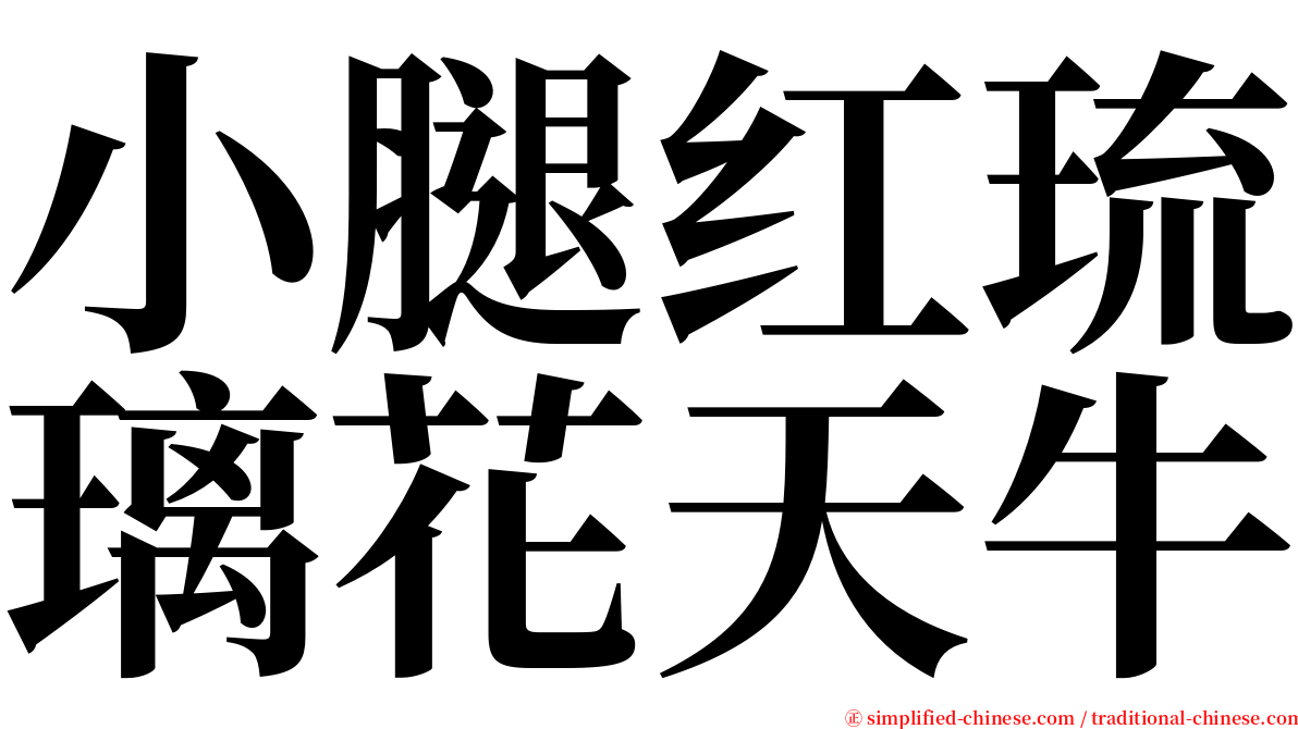 小腿红琉璃花天牛 serif font