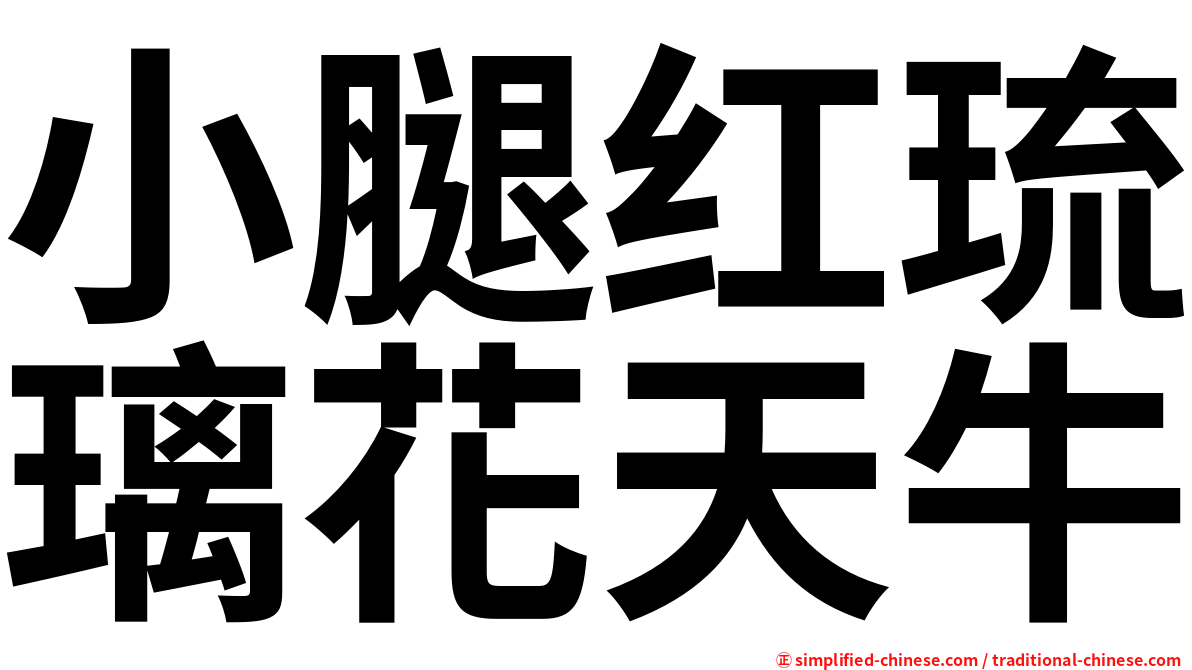 小腿红琉璃花天牛