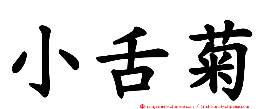 小舌菊