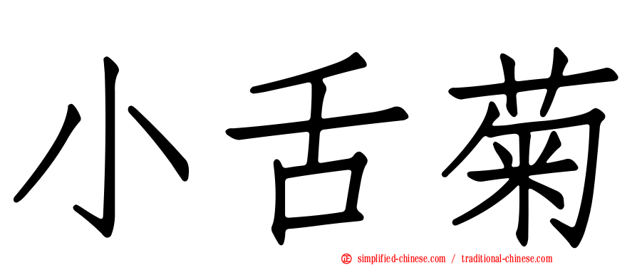 小舌菊