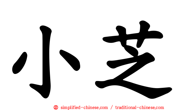 小芝