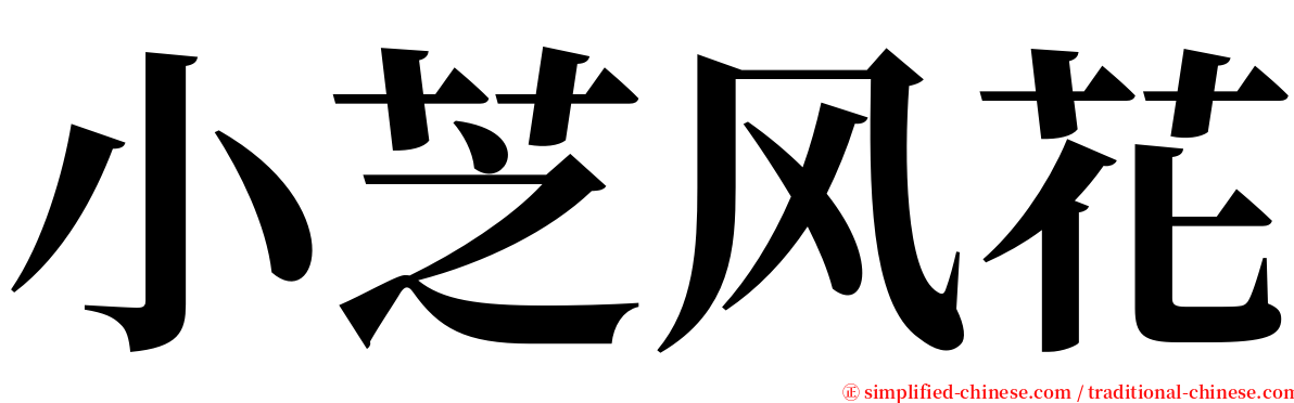 小芝风花 serif font