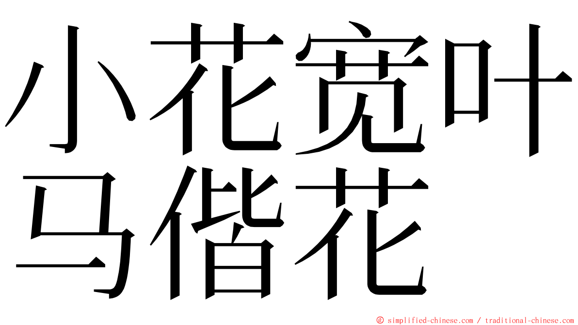 小花宽叶马偕花 ming font