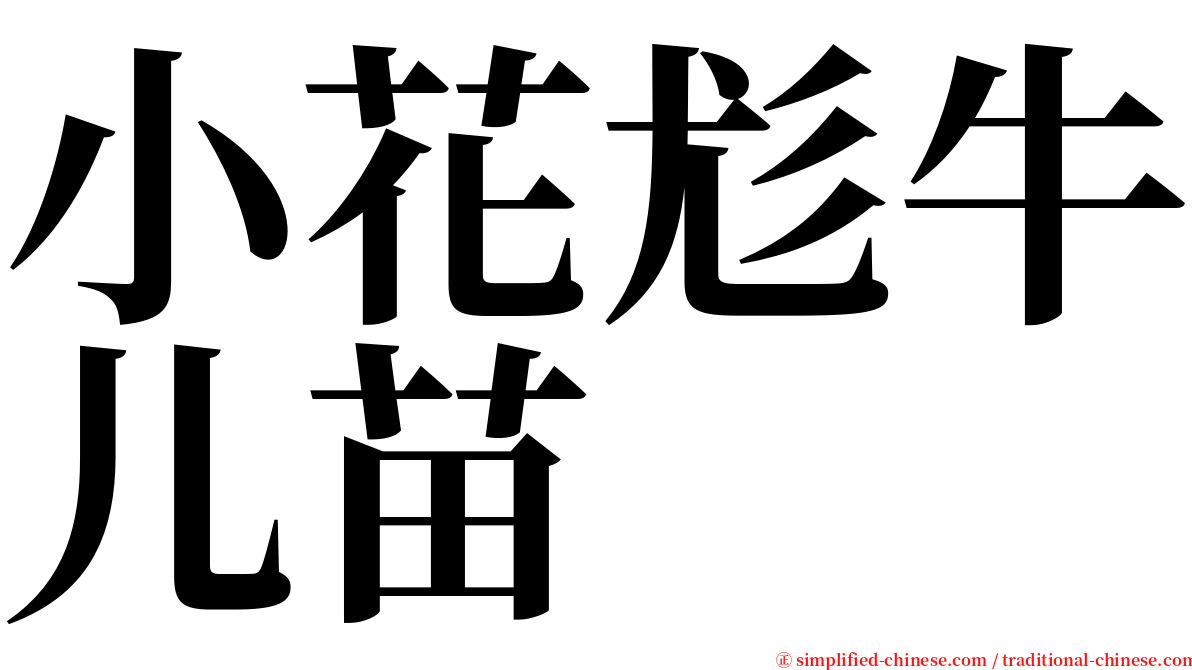 小花尨牛儿苗 serif font