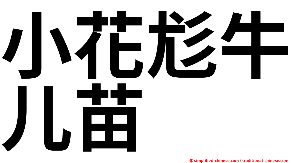 小花尨牛儿苗