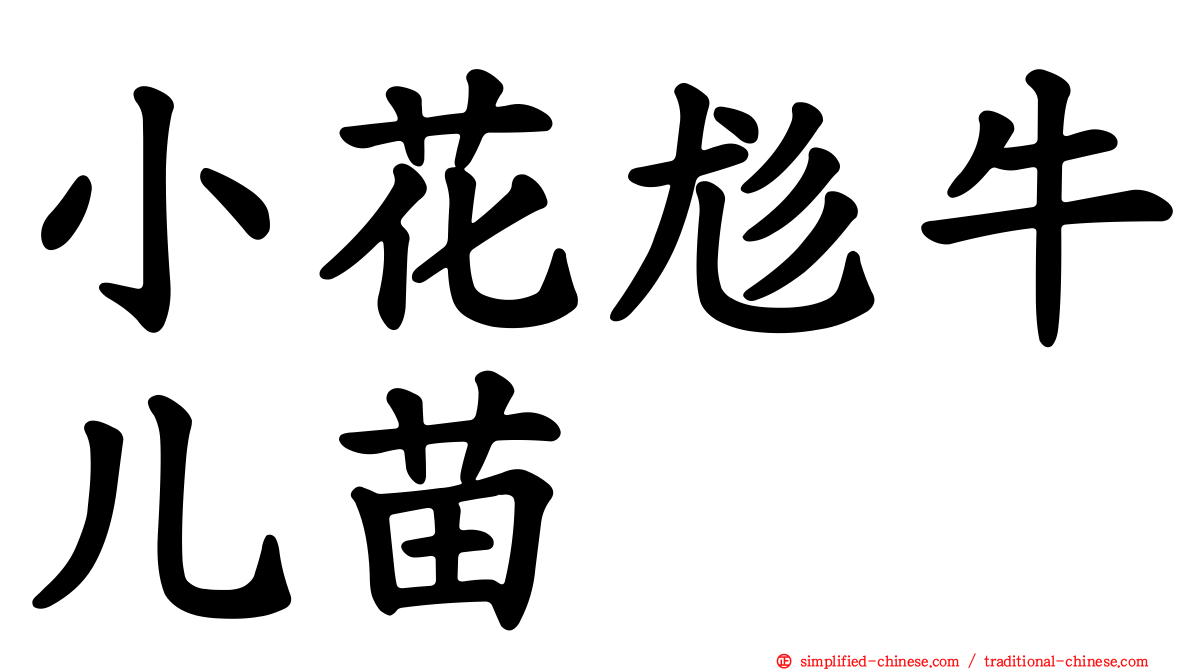 小花尨牛儿苗