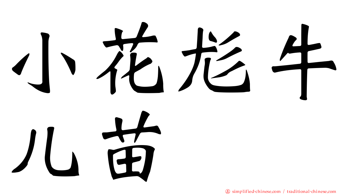 小花尨牛儿苗