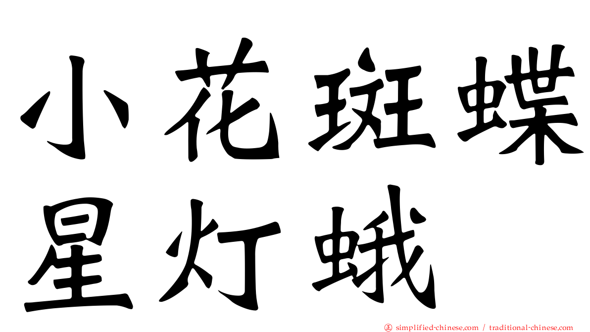 小花斑蝶星灯蛾