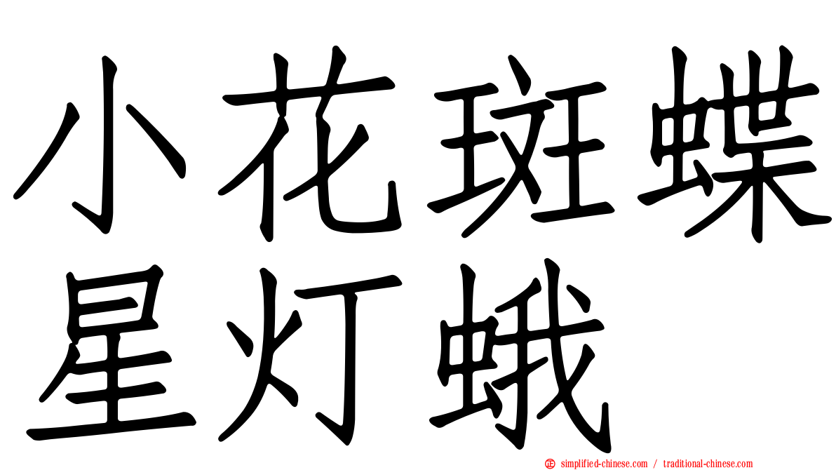 小花斑蝶星灯蛾