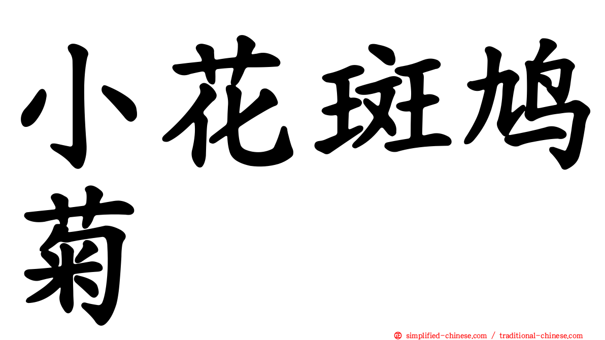 小花斑鸠菊