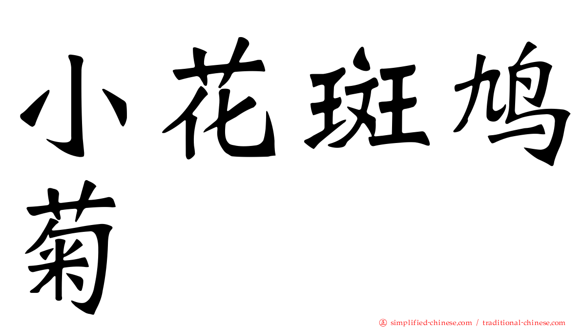 小花斑鸠菊