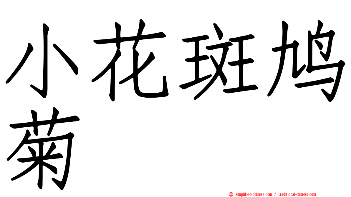 小花斑鸠菊