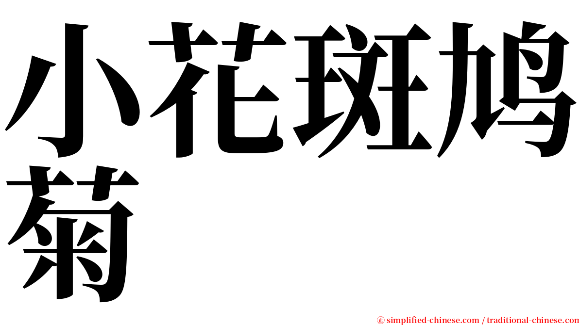 小花斑鸠菊 serif font