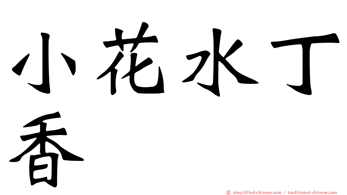 小花水丁香