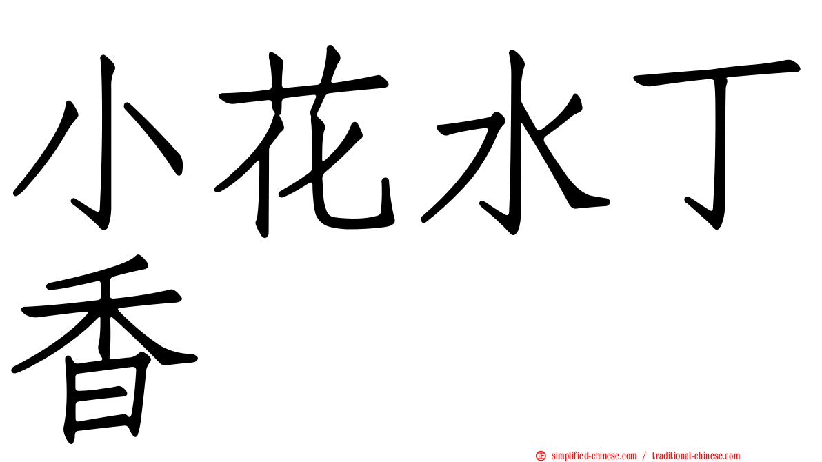小花水丁香