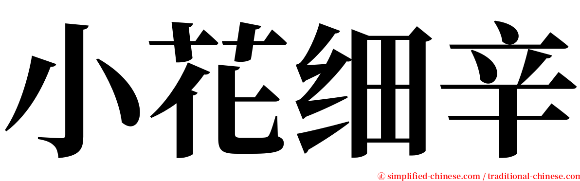 小花细辛 serif font