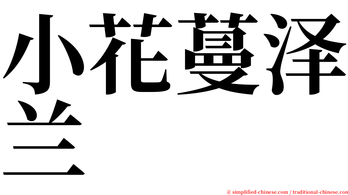 小花蔓泽兰 serif font