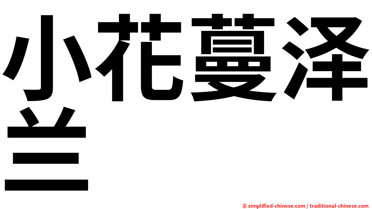 小花蔓泽兰