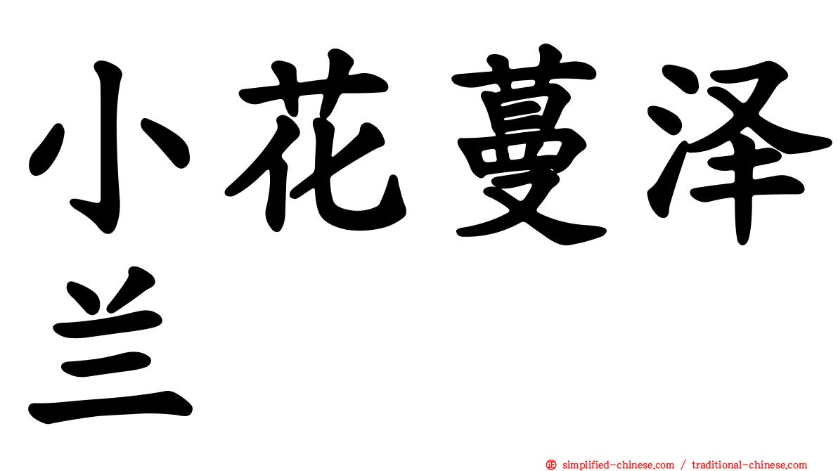 小花蔓泽兰