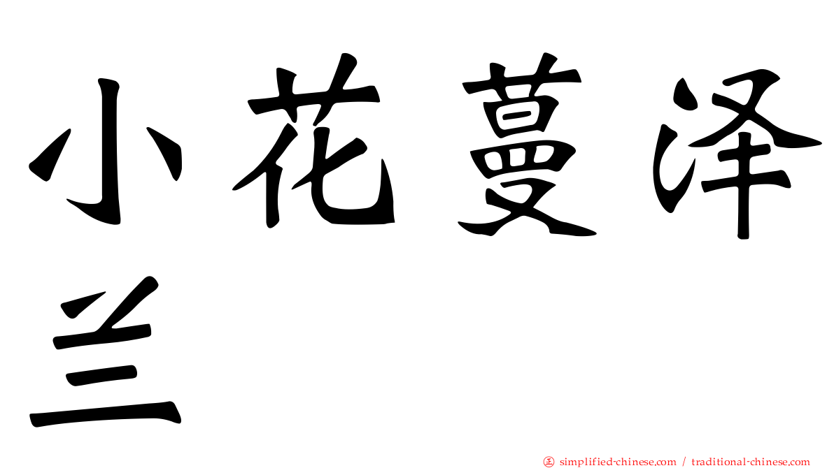 小花蔓泽兰