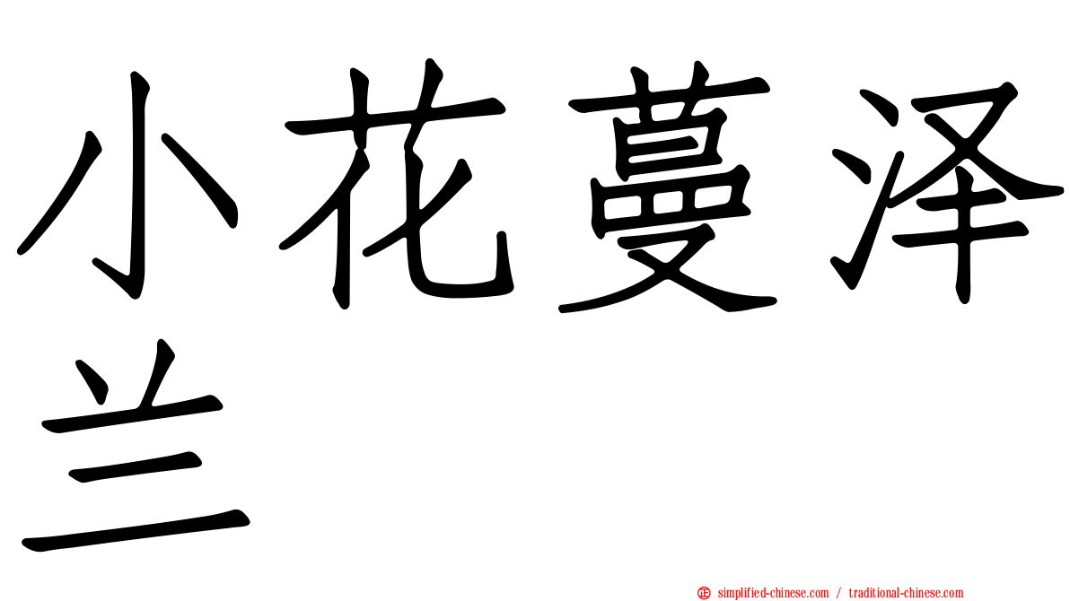 小花蔓泽兰