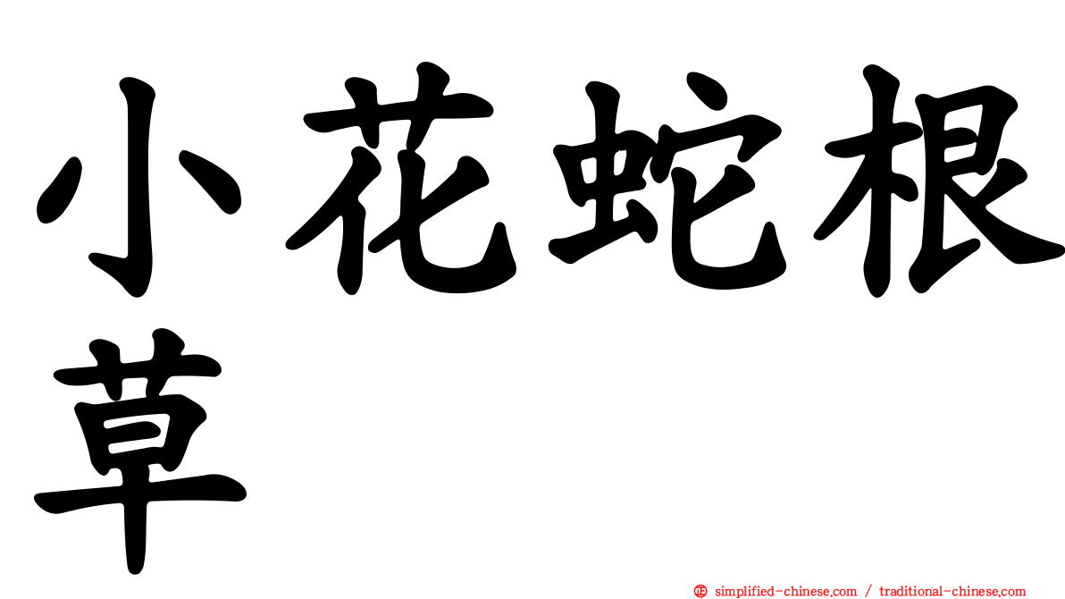 小花蛇根草