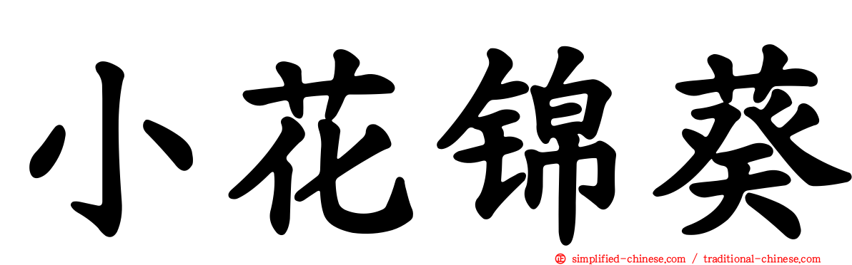 小花锦葵