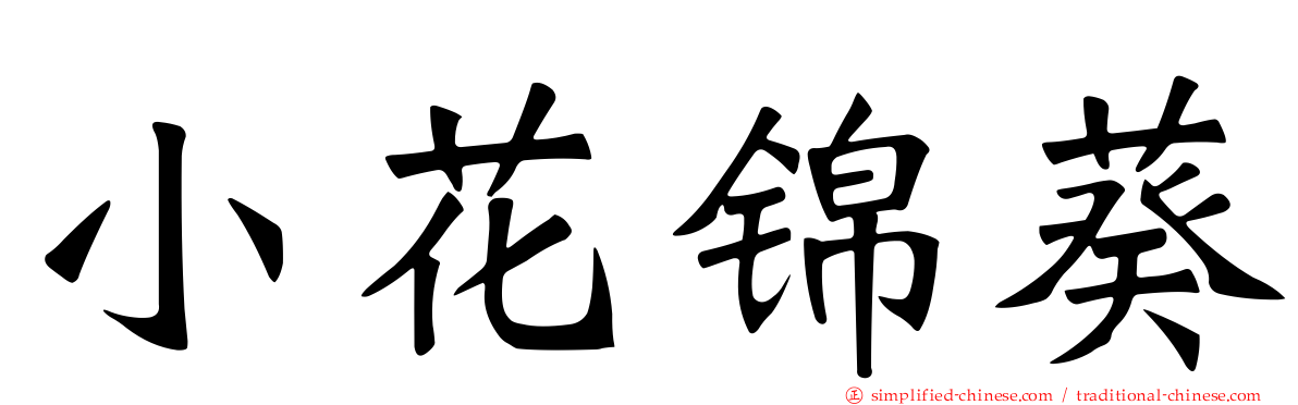 小花锦葵