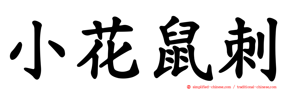 小花鼠刺