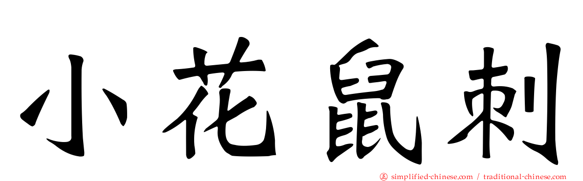 小花鼠刺