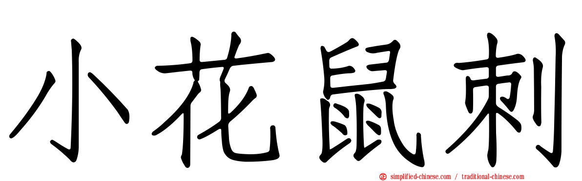 小花鼠刺