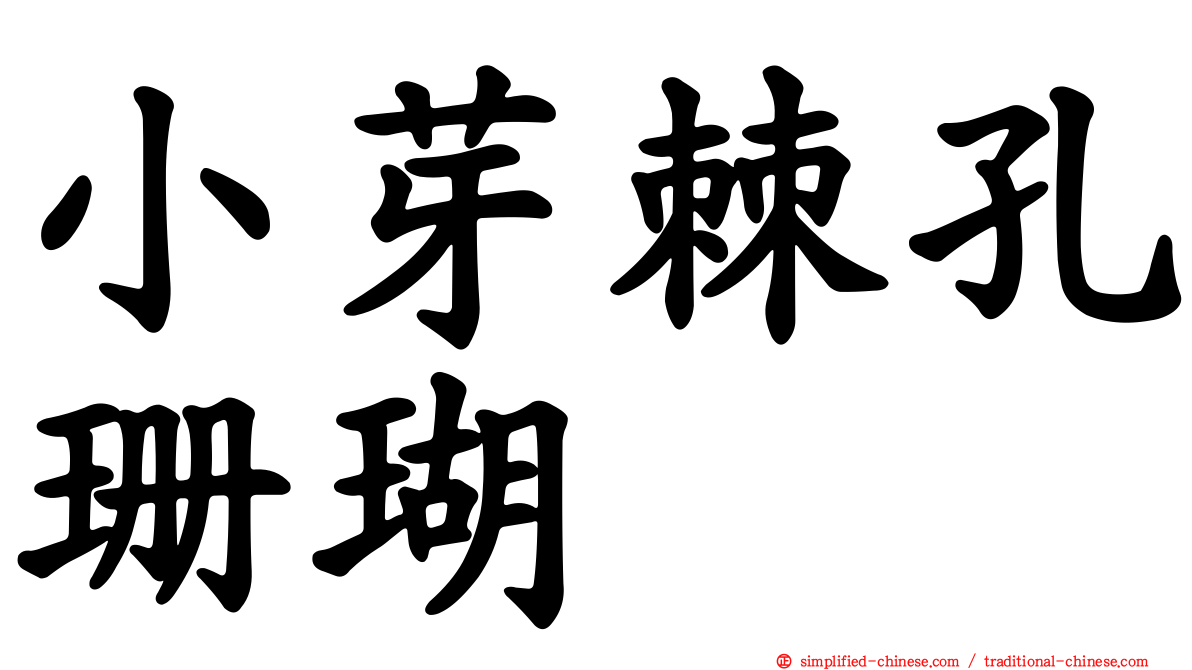 小芽棘孔珊瑚