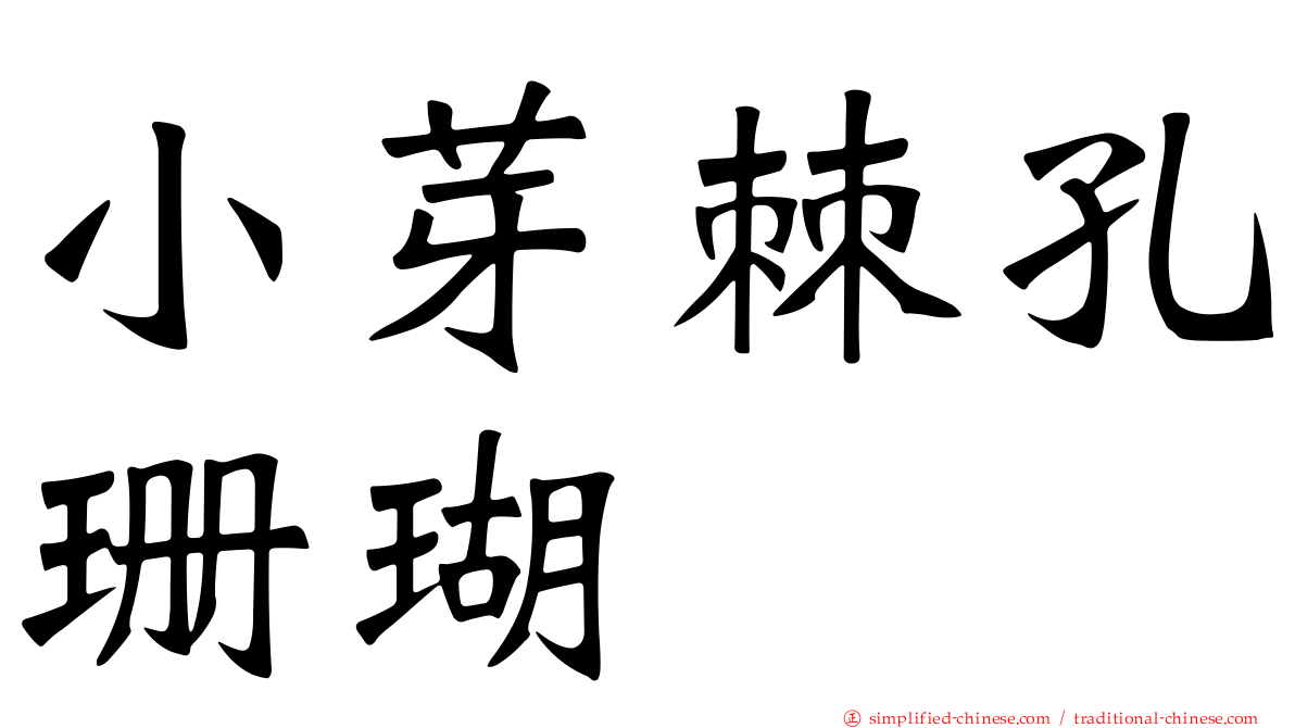 小芽棘孔珊瑚