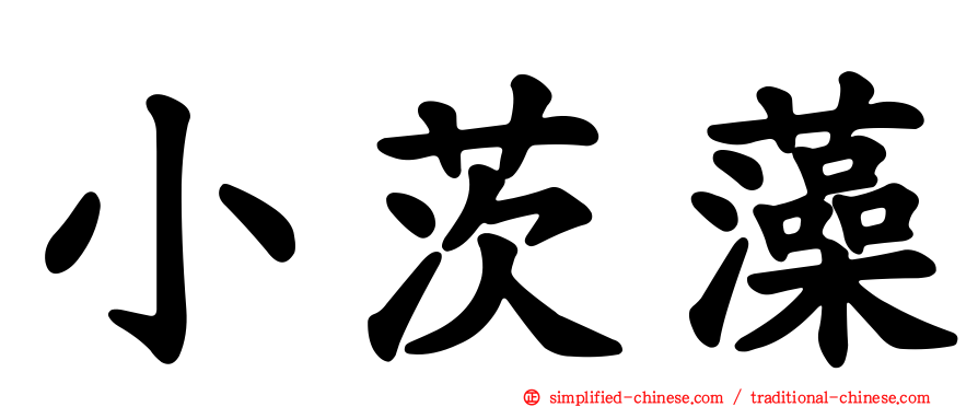 小茨藻