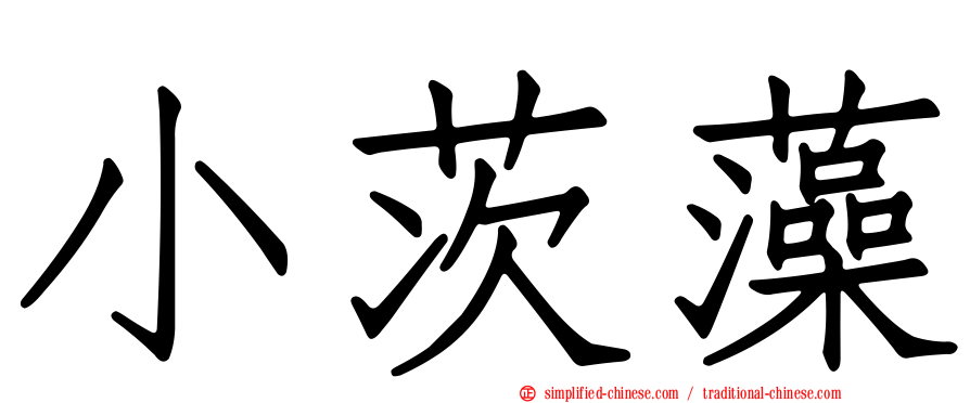 小茨藻