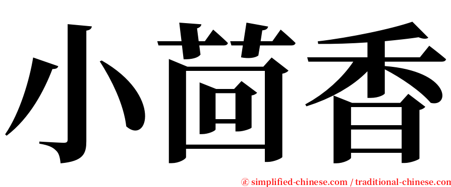 小茴香 serif font