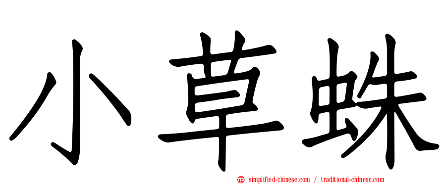 小草蛛