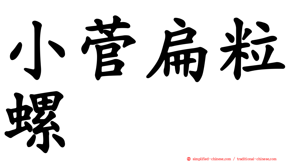 小菅扁粒螺