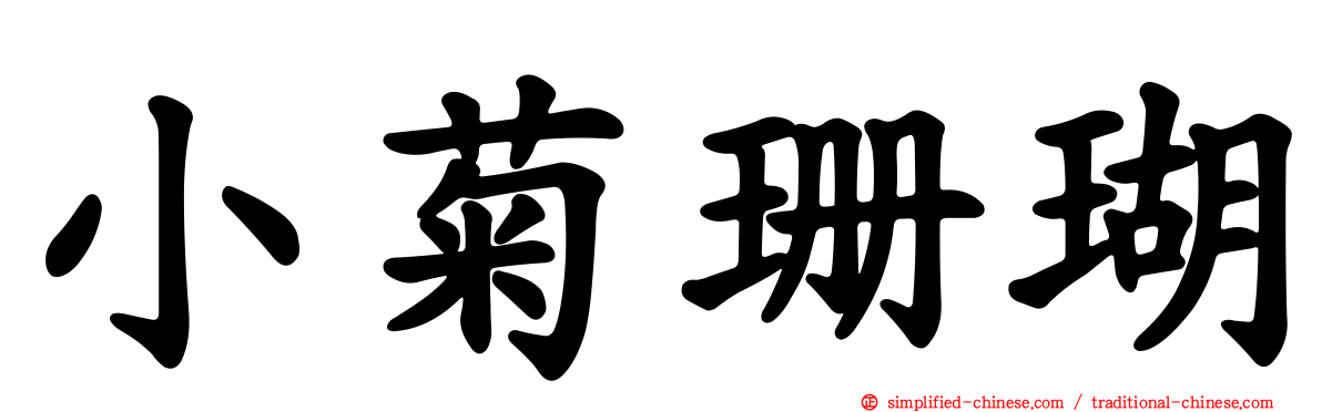 小菊珊瑚