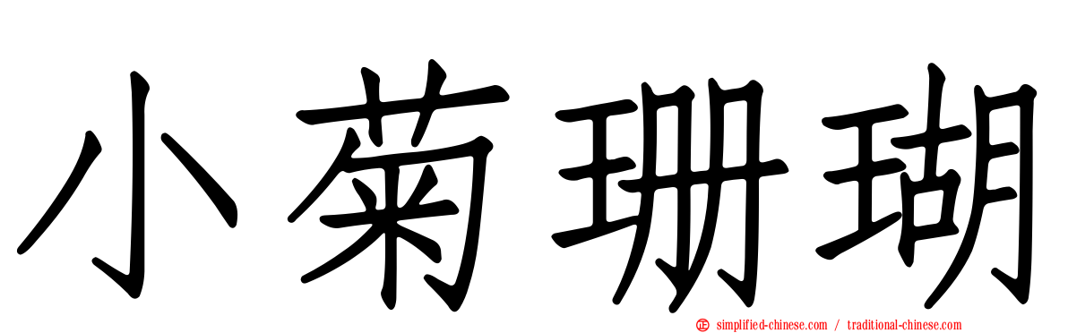 小菊珊瑚