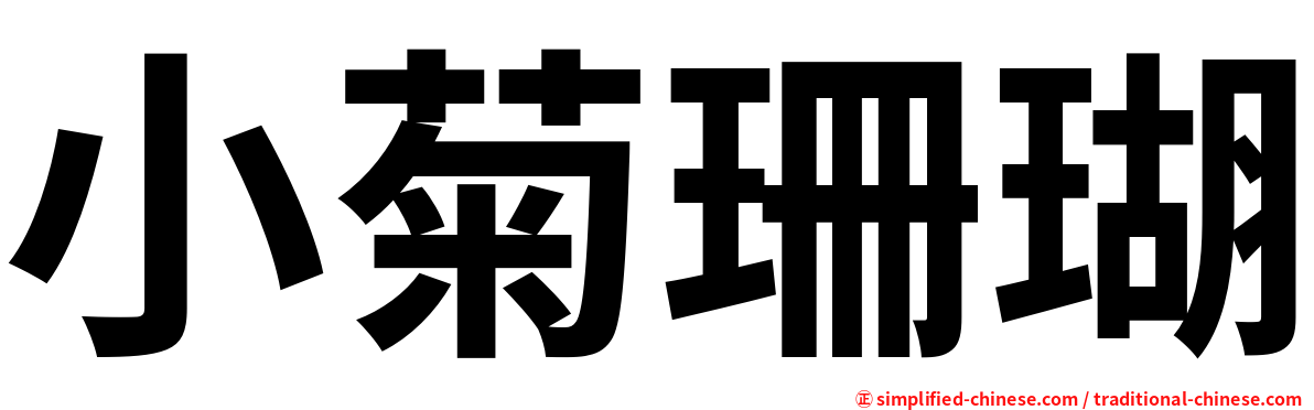 小菊珊瑚