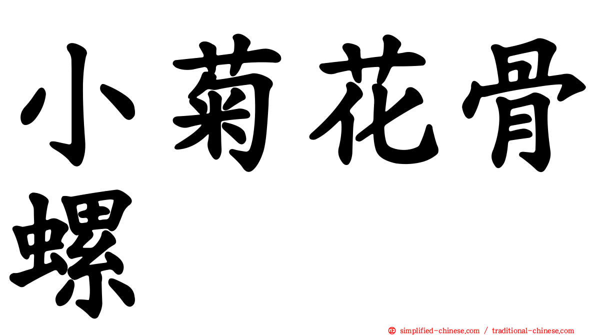 小菊花骨螺