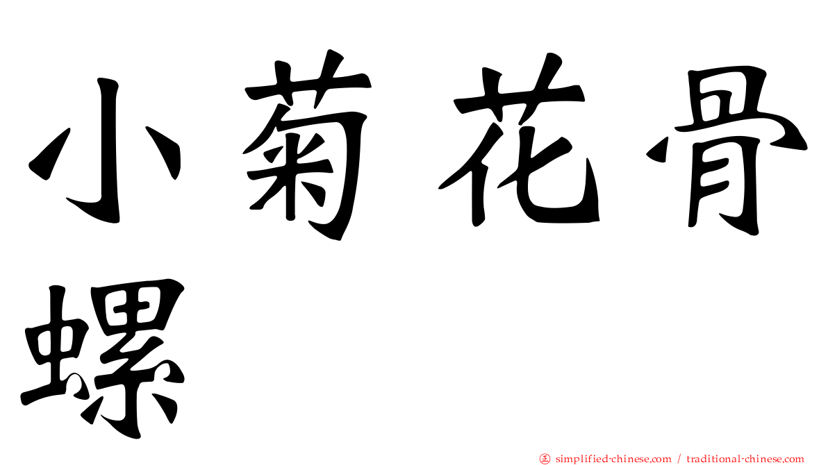 小菊花骨螺