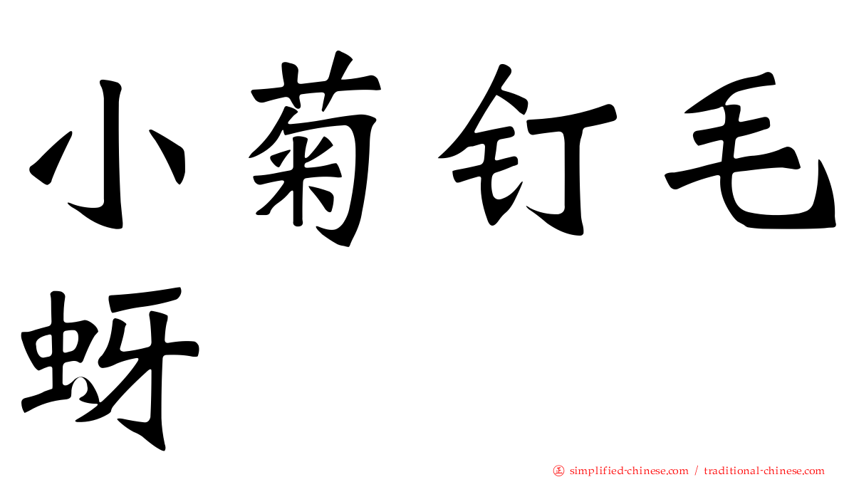 小菊钉毛蚜