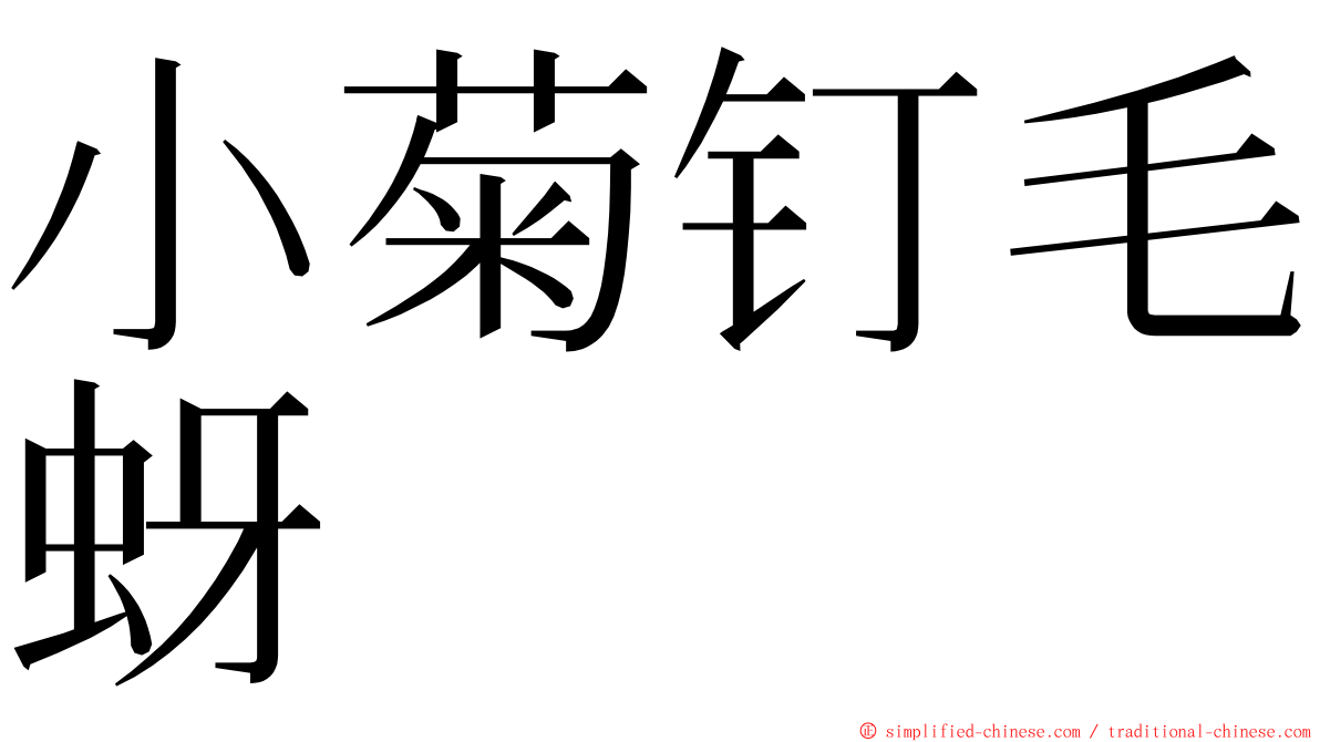 小菊钉毛蚜 ming font