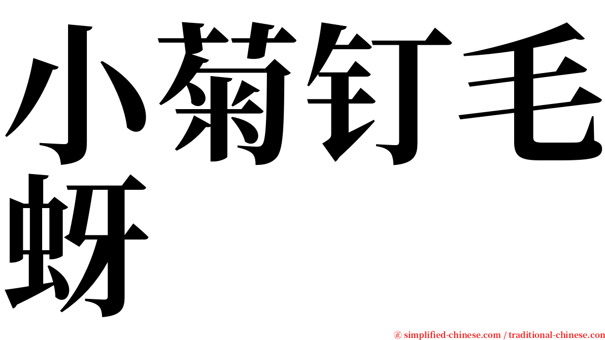 小菊钉毛蚜 serif font