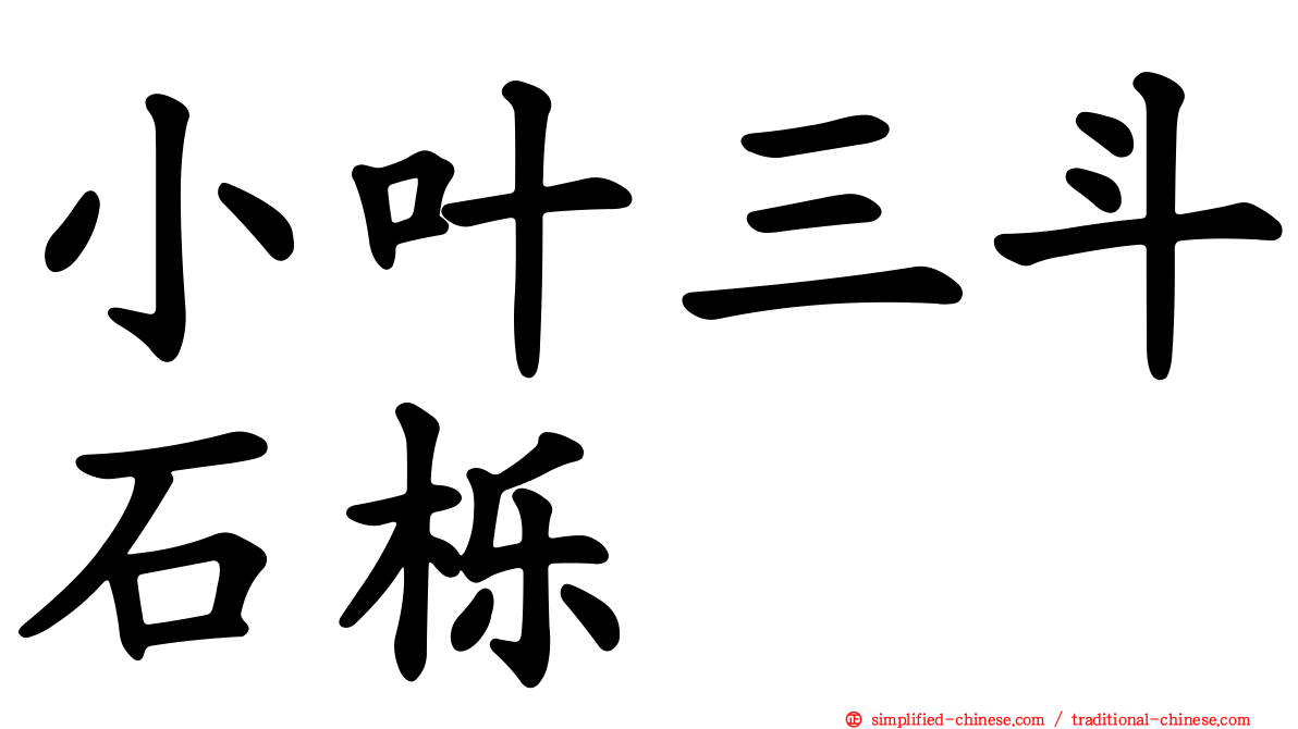小叶三斗石栎